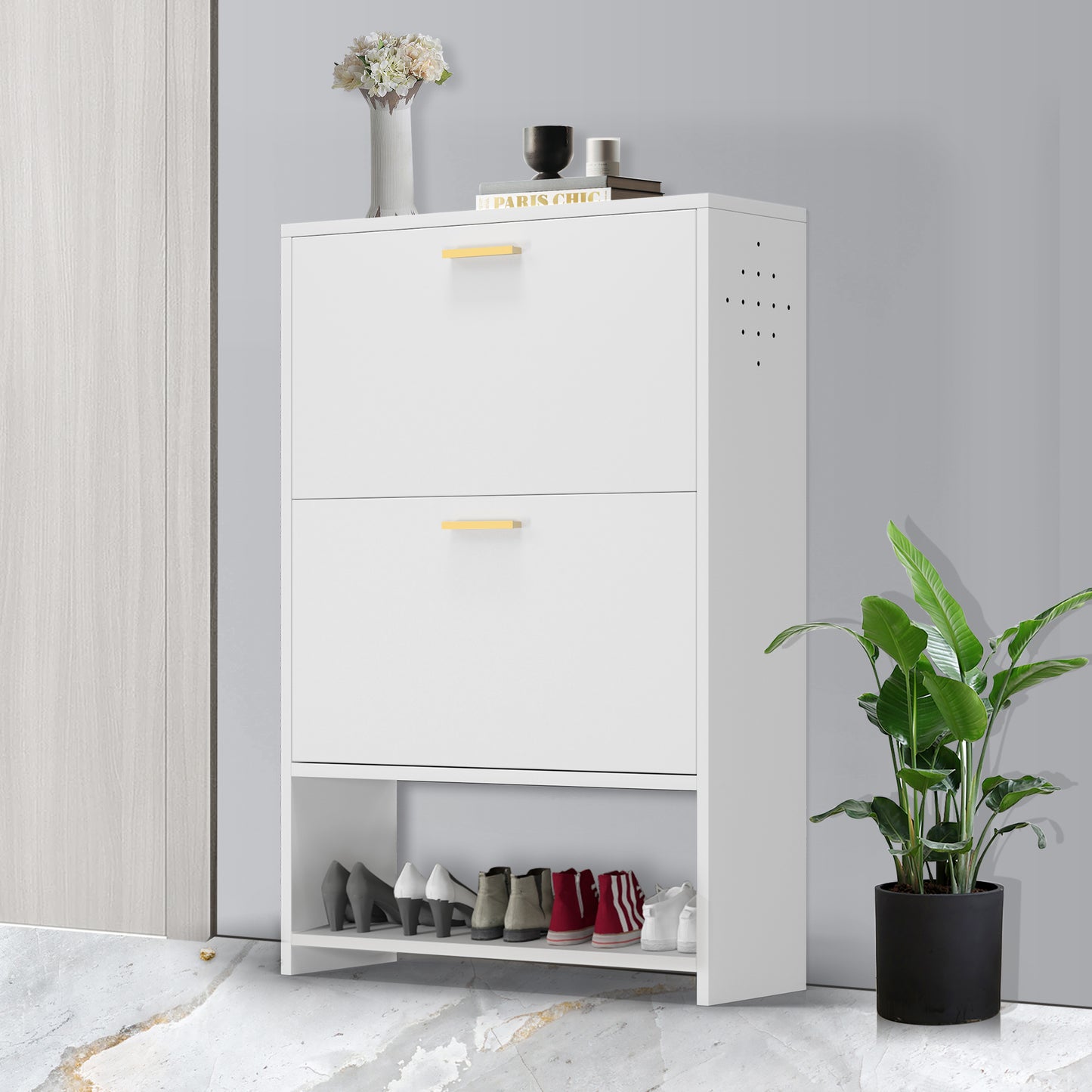 WY Shoe Cabinet with 2 Flip Drawers, Metal Shoe Storage for Entryway